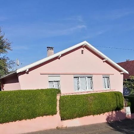 Superbe Maison 3 Chambres 1 Etage Et Sous-Sol, Avec Jardin Et Terrasse Altkirch Extérieur photo