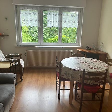 Superbe Maison 3 Chambres 1 Etage Et Sous-Sol, Avec Jardin Et Terrasse Altkirch Extérieur photo