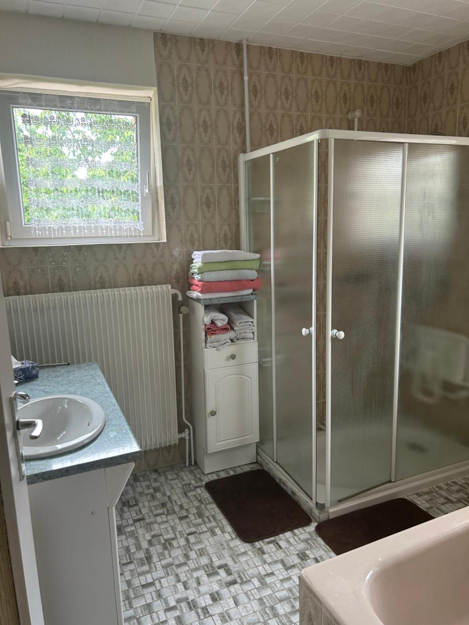 Superbe Maison 3 Chambres 1 Etage Et Sous-Sol, Avec Jardin Et Terrasse Altkirch Extérieur photo