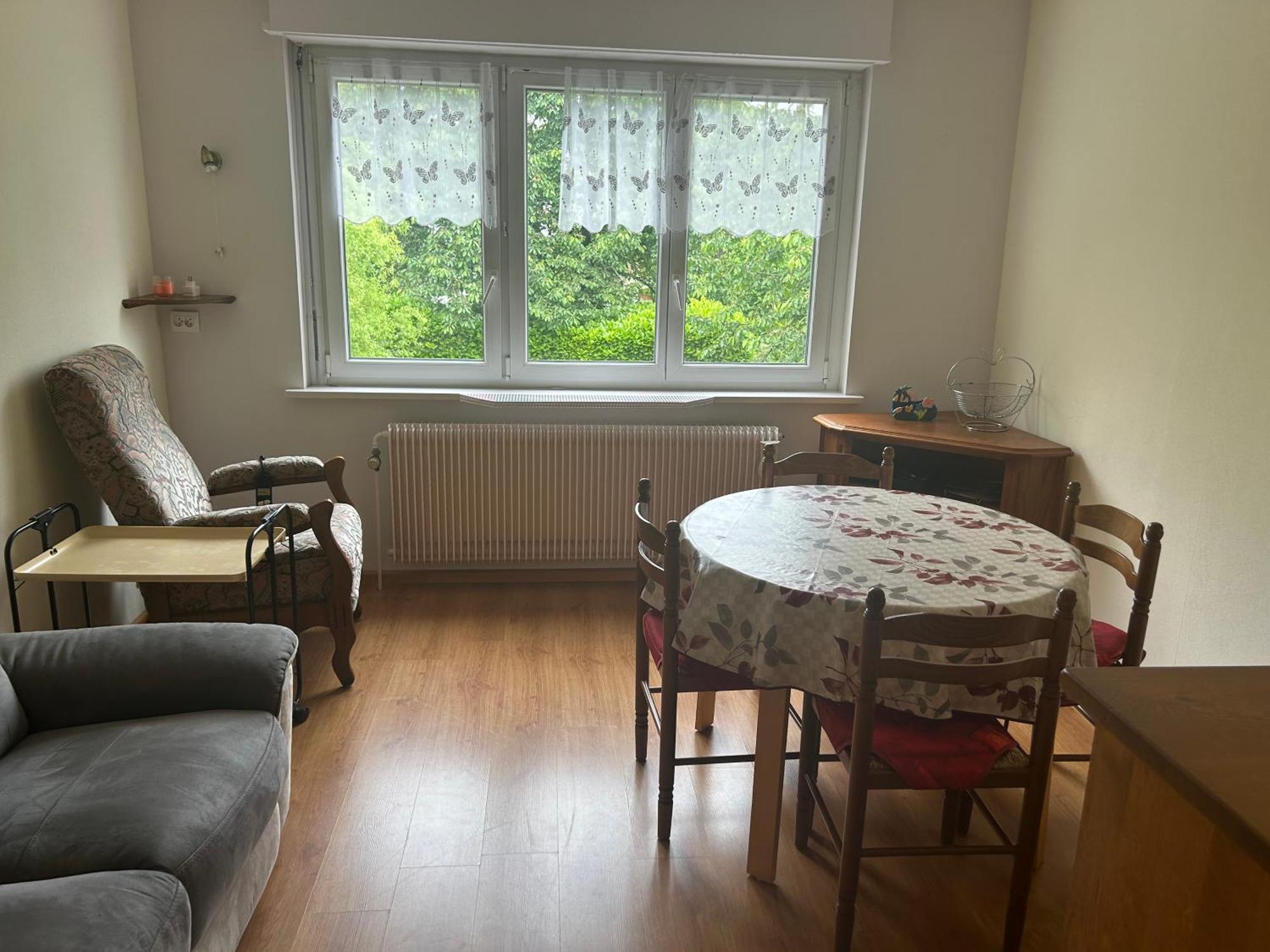 Superbe Maison 3 Chambres 1 Etage Et Sous-Sol, Avec Jardin Et Terrasse Altkirch Extérieur photo